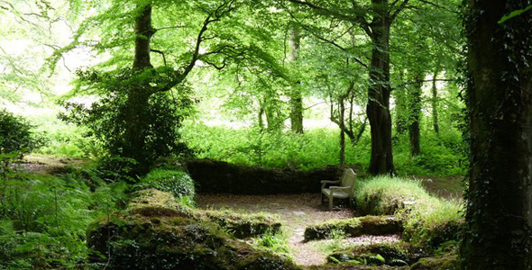 Chapel Wood RSPB Nature Reserve